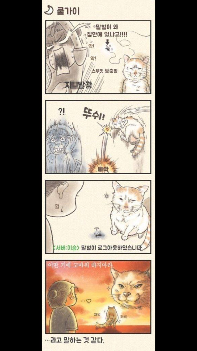 고양이 집사 300% 공감 | 인스티즈