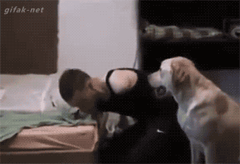 동물들과의 교감.gif | 인스티즈