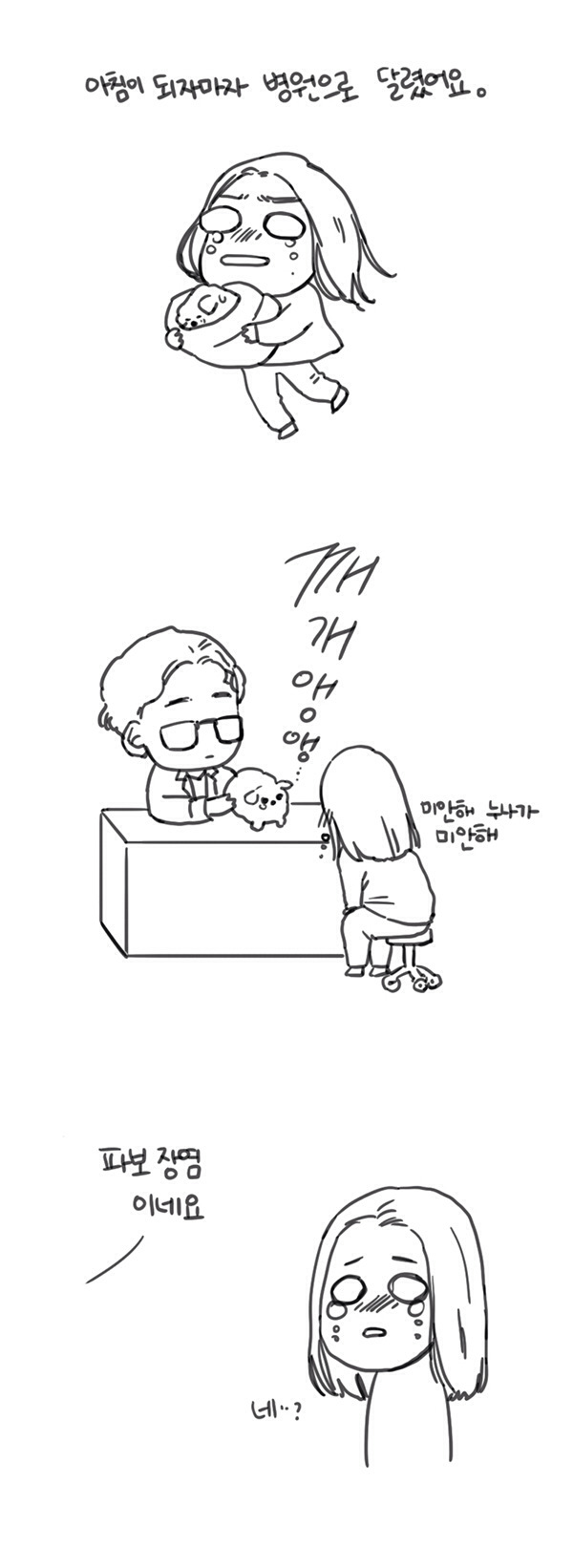 반려견 분양 사기 - 대새녀 작가 여은님이 제보 받는중 | 인스티즈