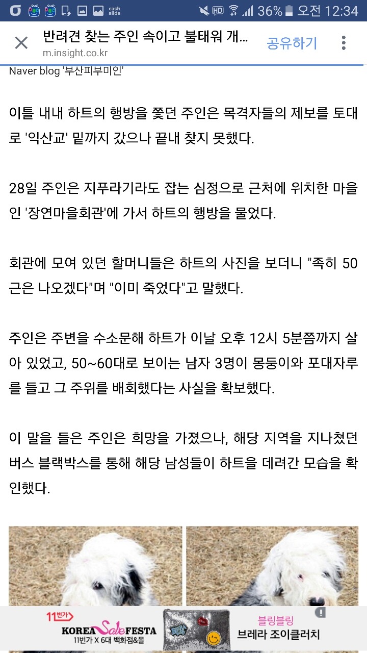 반려견 찾는 주인 속이고 불태워 개고기로 먹은 주민들 (사진) | 인스티즈