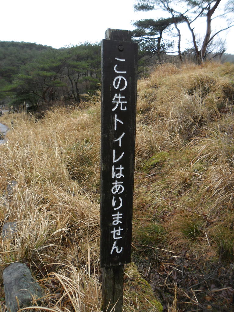 에비노 이미지