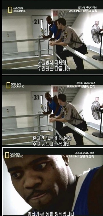 복돌이 기적의 논리 | 인스티즈