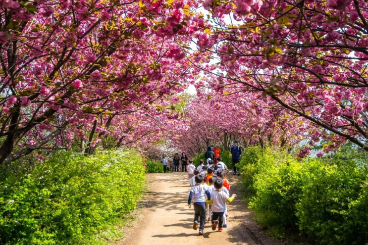 전주 완산공원 꽃동산 - 관광객보다 전주 시민들이 더 많이 가는 곳 | 인스티즈