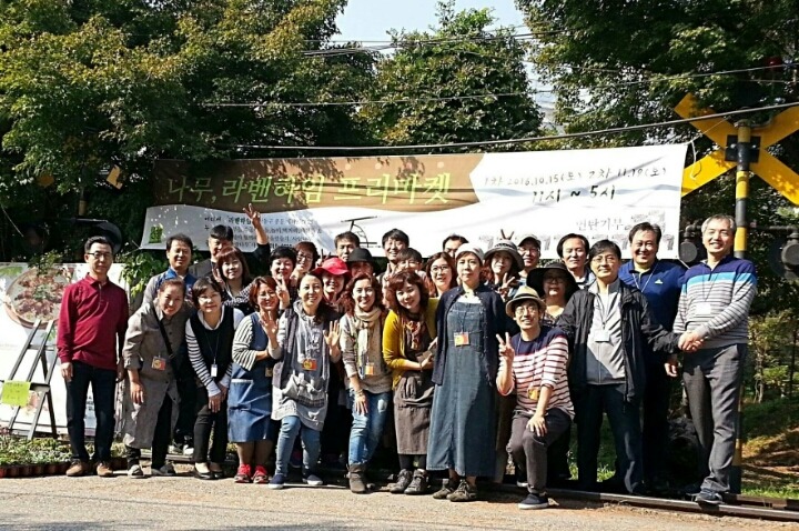 사람나무 이미지