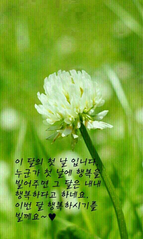 우정수선 이미지