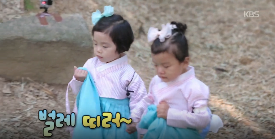 대박이 투블럭함 ㅋㅋㅋㅋㅋ (누나들이 벌레 무서워하자 누나들 지키는 대박이 ㄷㄷㄷ) | 인스티즈