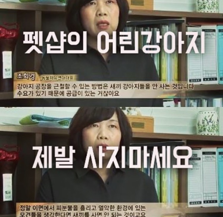 강아지 사지말고 입양하세요 | 인스티즈