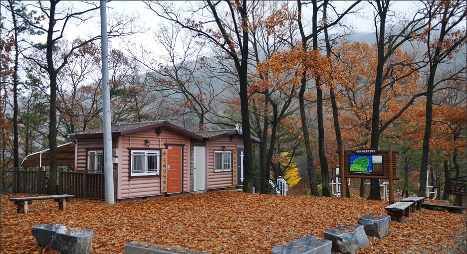 심항산 유아숲체험원 이미지
