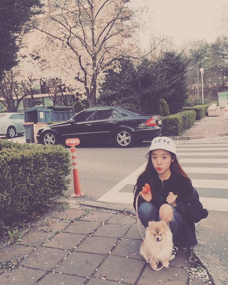 손나은 인스타 | 인스티즈