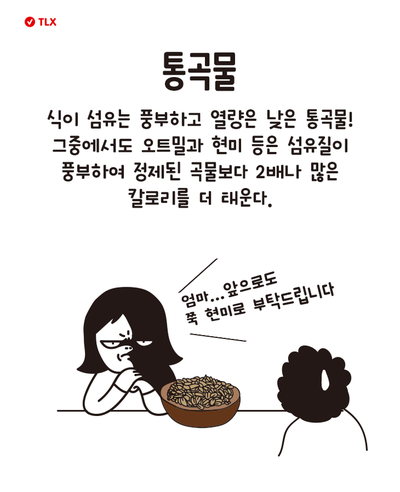[다이어트일러스트] 지방을 활활 태우는 신의 음식 | 인스티즈