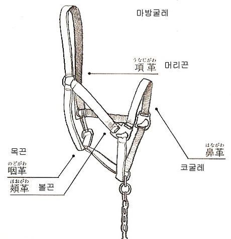 마스타승마클럽 이미지