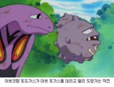 로켓단이 갓켓단인 이유 | 인스티즈