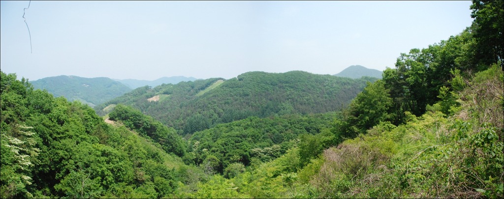 인대산 이미지