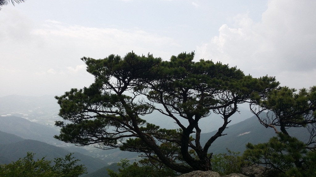 수도산자연휴양림 이미지