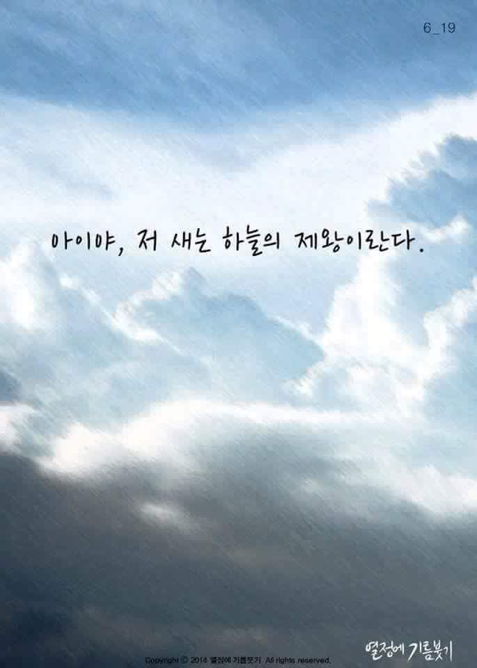 날개가 너무 커서 날지 못하는 새 | 인스티즈