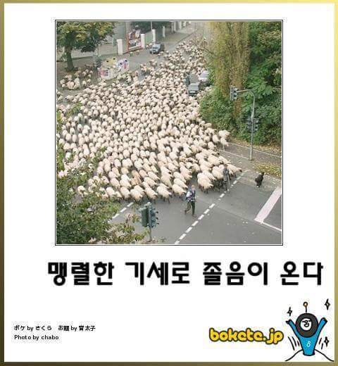 고양이 제목 학원 | 인스티즈
