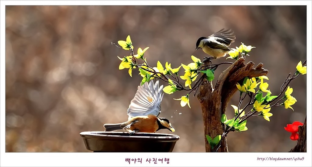 아름다운연출 이미지