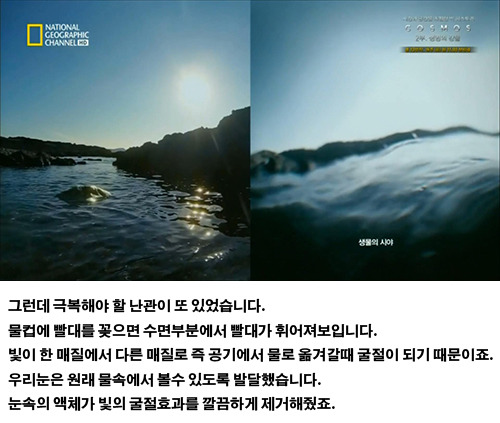 생물의 진화: 인간의 눈 | 인스티즈