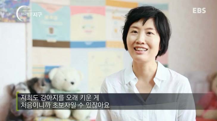  당신은 반려동물과 이별할 준비가 되었나요? | 인스티즈