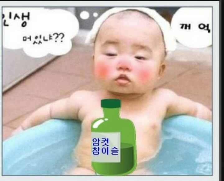 노리 이미지