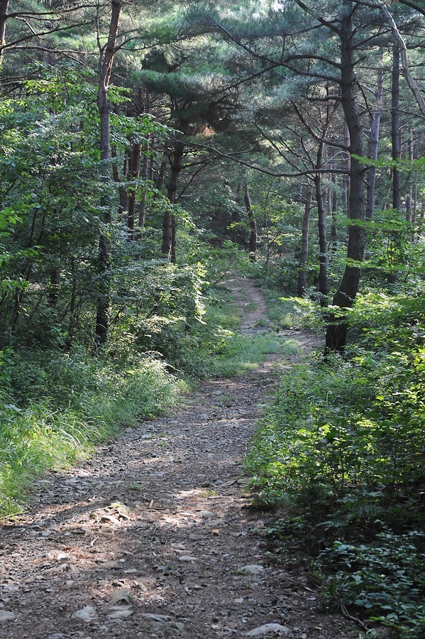 칠보산자연휴양림 이미지