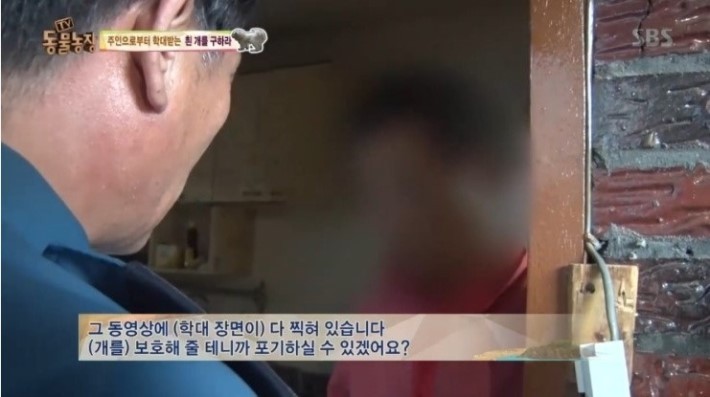 이유없는 강아지 학대 | 인스티즈