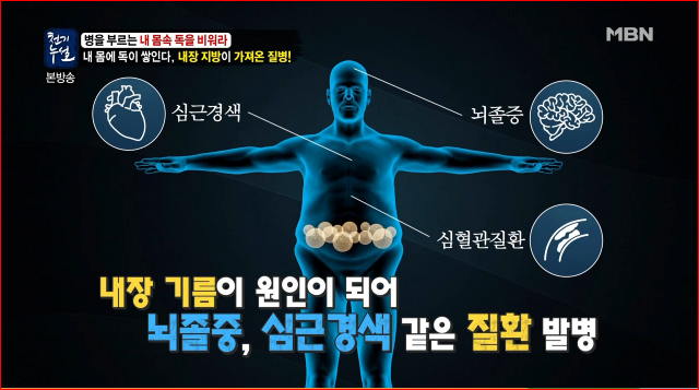 침묵의 암살자 뱃속의 시한폭탄 내장지방의 위험성 | 인스티즈