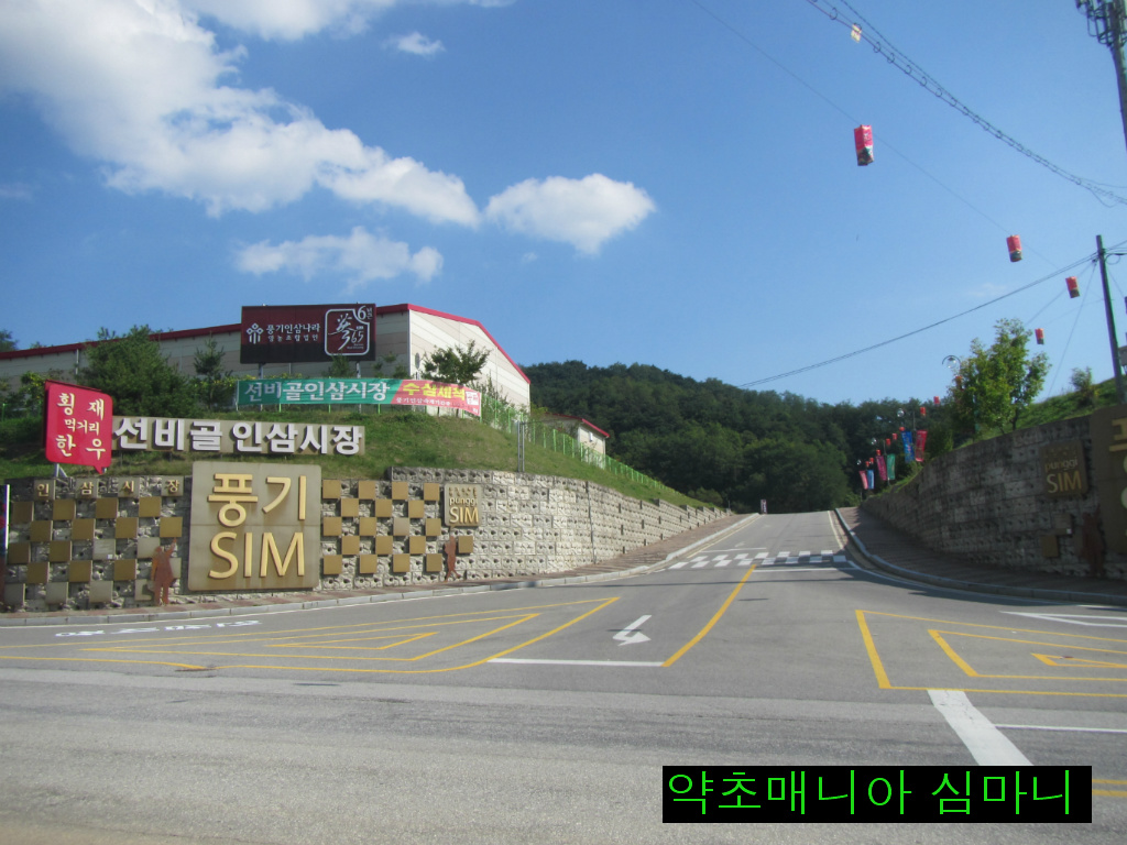 먹거리식당 이미지