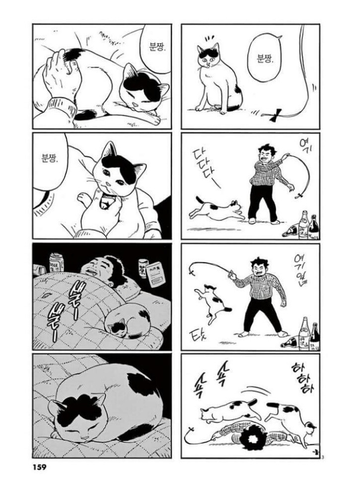 고양이 분짱(슬픔주의) | 인스티즈