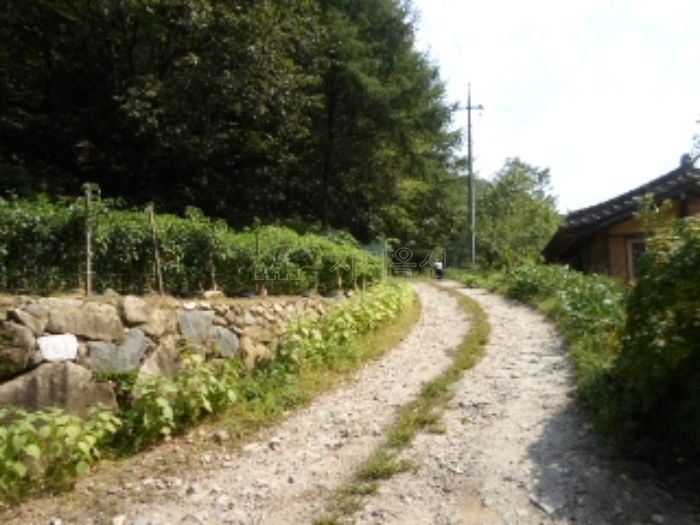 산전리(횡성) 이미지
