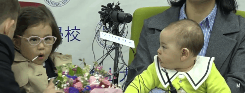 전세계에서 핫한 스타 BBC 방송사고 가족 공식 기자회견 짤.GIF | 인스티즈
