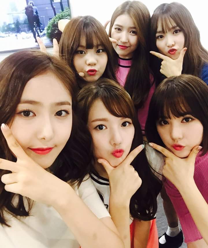 다들 이미지