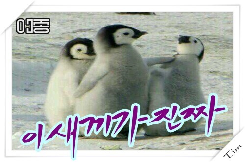 빠져 나올 수 없는 멍이.gif | 인스티즈