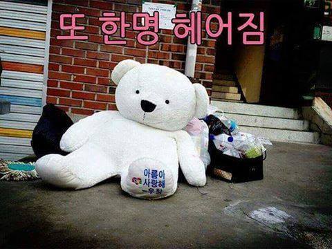여러분들 기분 좋아지시라고 짤 하나 들고왔습니다 | 인스티즈