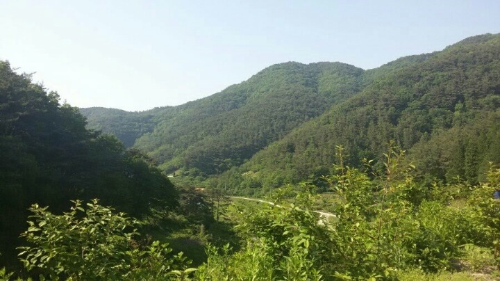 시골 이미지