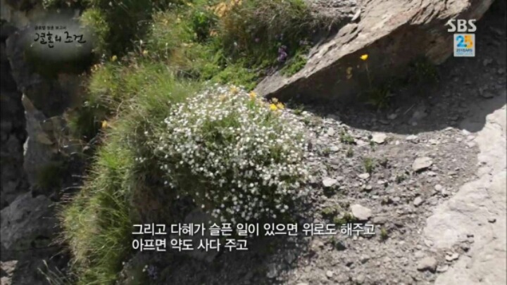 헬조선 탈출하는 커플 | 인스티즈