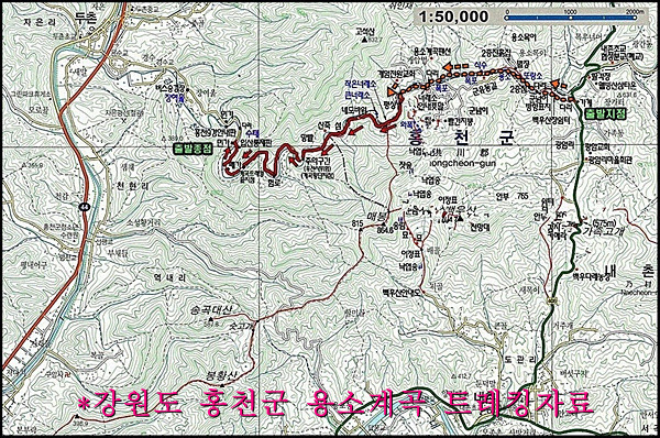 초원대중 이미지