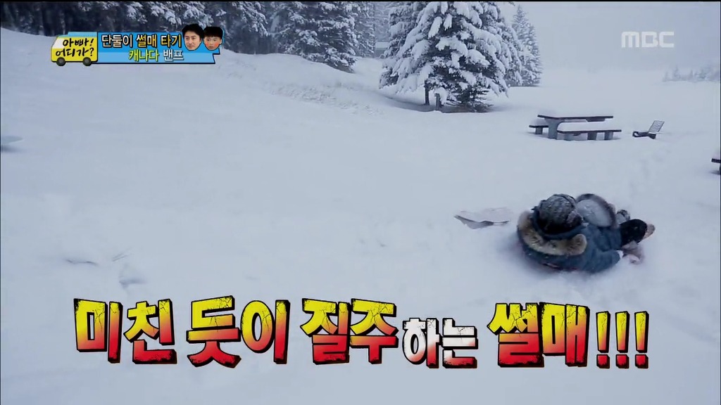 [아빠어디가] 보는사람이 다 행복했던 사랑가득 안정환♡리환 부자의 캐나다 여행 | 인스티즈