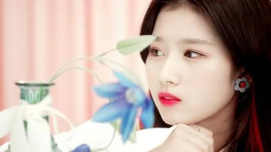 존사나 사북이 사무늘보 사나 | 인스티즈