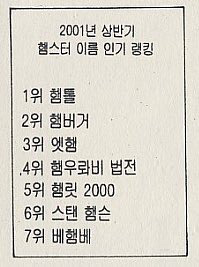 2001년 햄스터 이름 인기 랭킹 | 인스티즈
