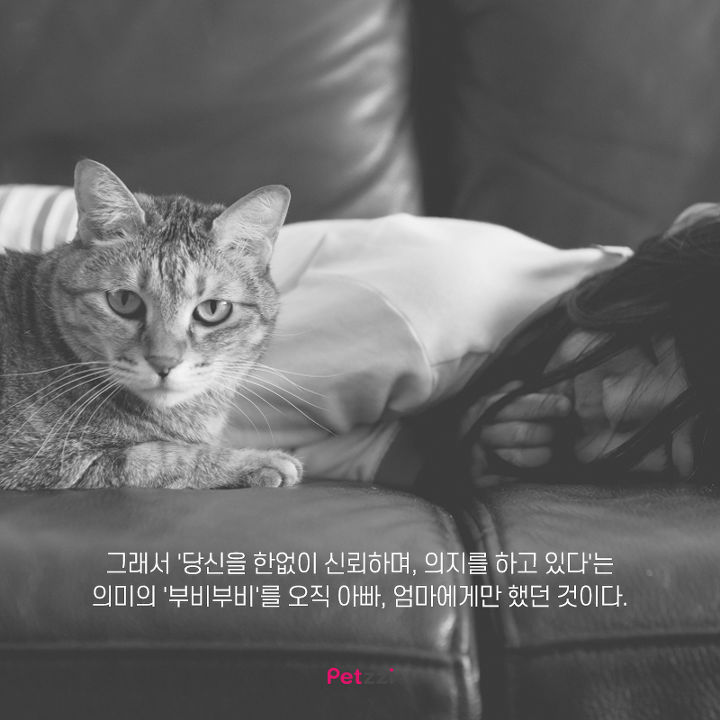 아기와 고양이의 교감 | 인스티즈