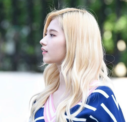 모모와 사나 | 인스티즈