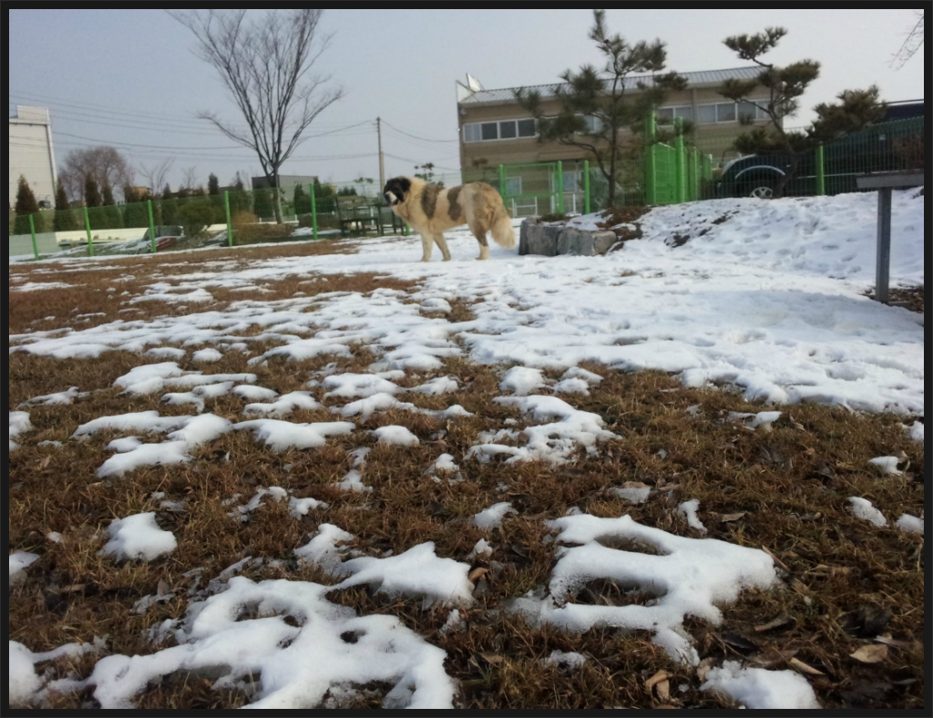 태양호프 이미지