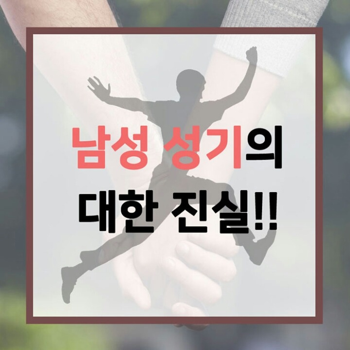 남성 성기에 대한 진실 | 인스티즈