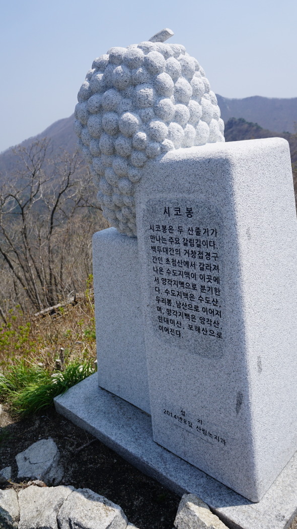 개금약초 이미지