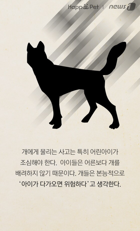 세상에 안 무는 개는 없다 | 인스티즈