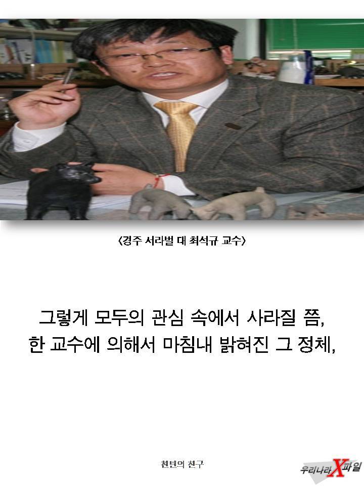 충격적인 개의 실체 ㄷㄷㄷㄷㄷ.JPG | 인스티즈