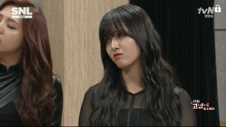 다예전 이미지