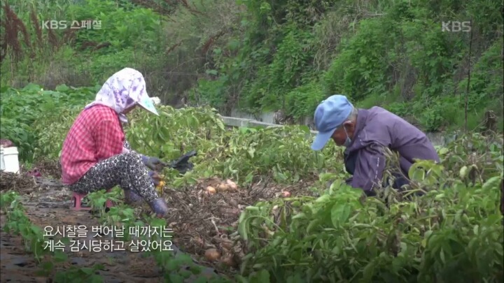 1960년대 북한에 납치됐다가 돌아온 사람들의 삶 | 인스티즈