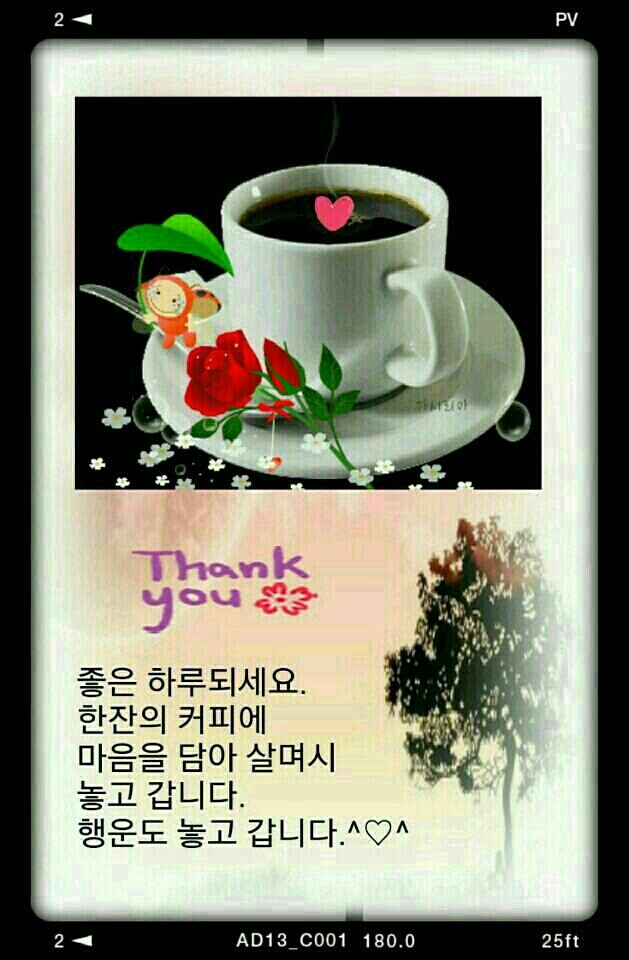 이러케 이미지